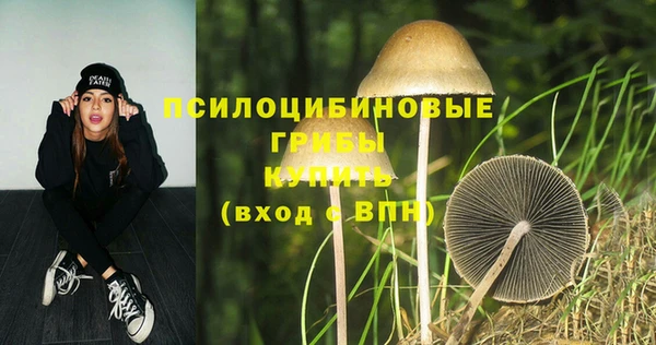MDMA Заводоуковск
