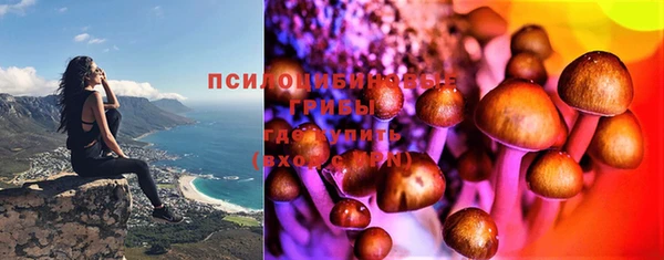 MDMA Заводоуковск