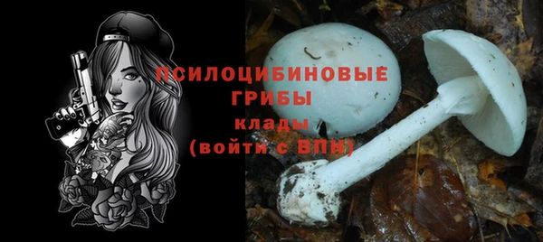 MDMA Заводоуковск