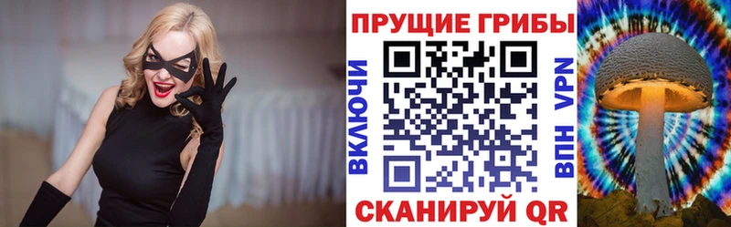 Купить закладки  Кукмор  Псилоцибиновые грибы мицелий 